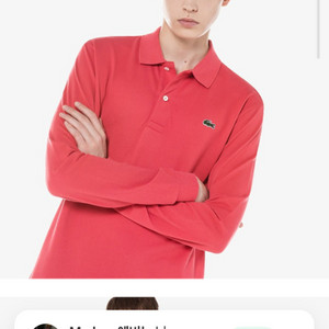 라코스테 피케이티