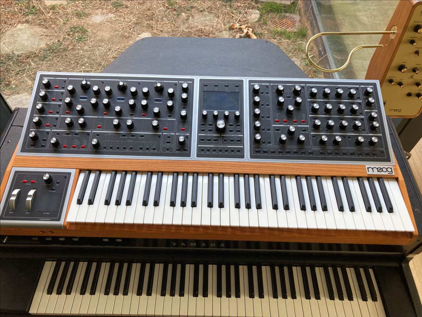 무그 원 moog one 8 voice