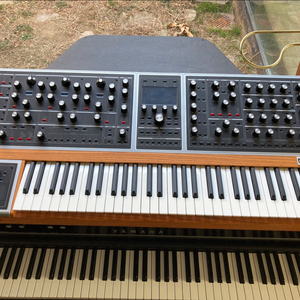 무그 원 moog one 8 voice