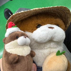 5700x3d나 5800x3d 삽니다