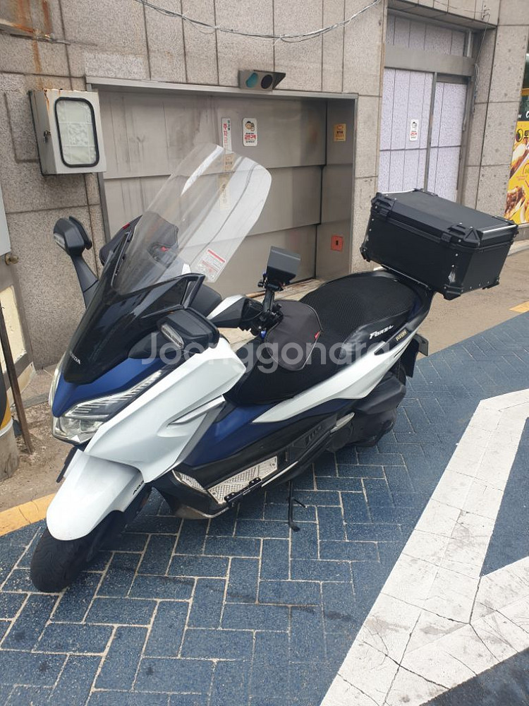 포르자300--1