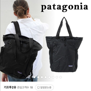 파타고니아 뤽 백팩