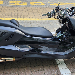 막삼 250