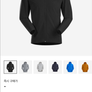 아크테릭스 감마 SL 후디 블랙 L 사이즈