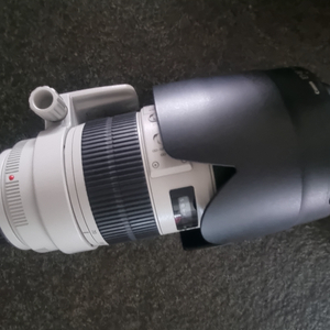 캐논 70-200 F2.8 III USM 새새아빠백통