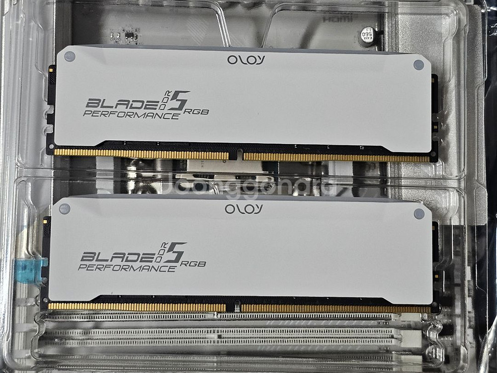 OLOy Blade DDR5 64gb(32gbx2)램--1