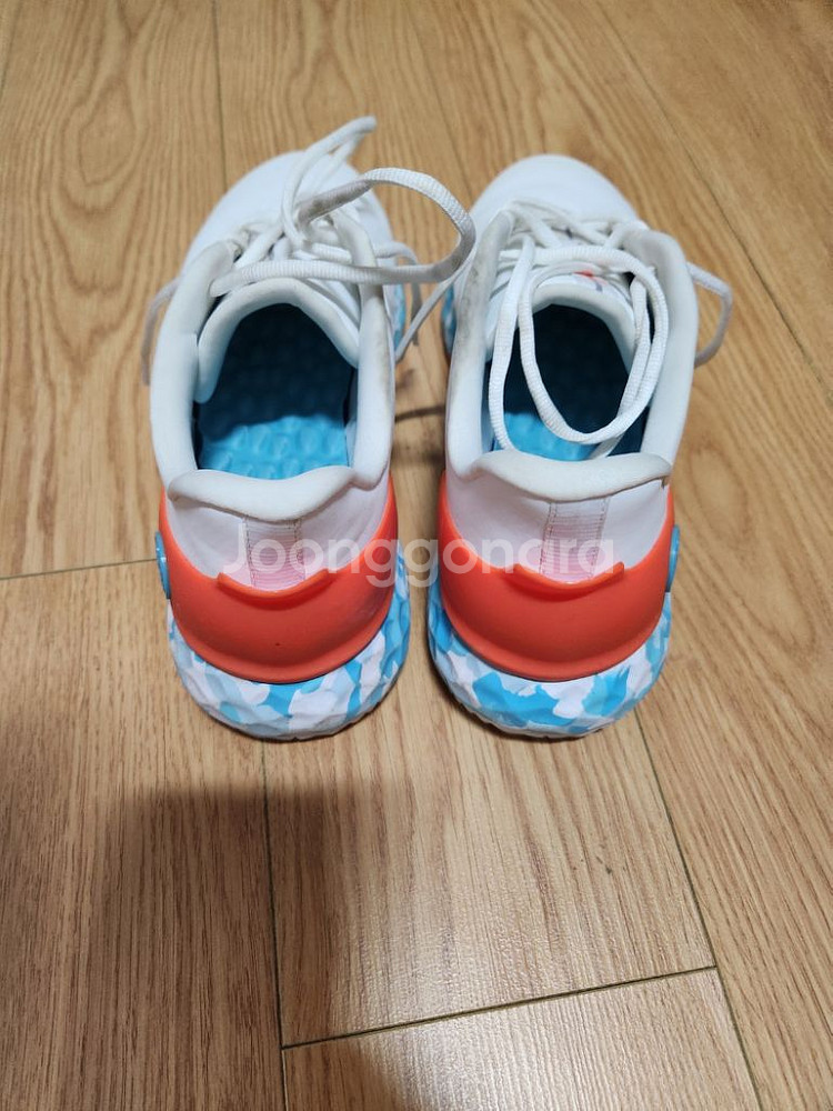 지포어 남성 골프화--3