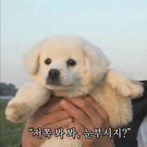 결제창