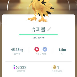 포켓몬 포켓몬고 가라르 이로치 썬더