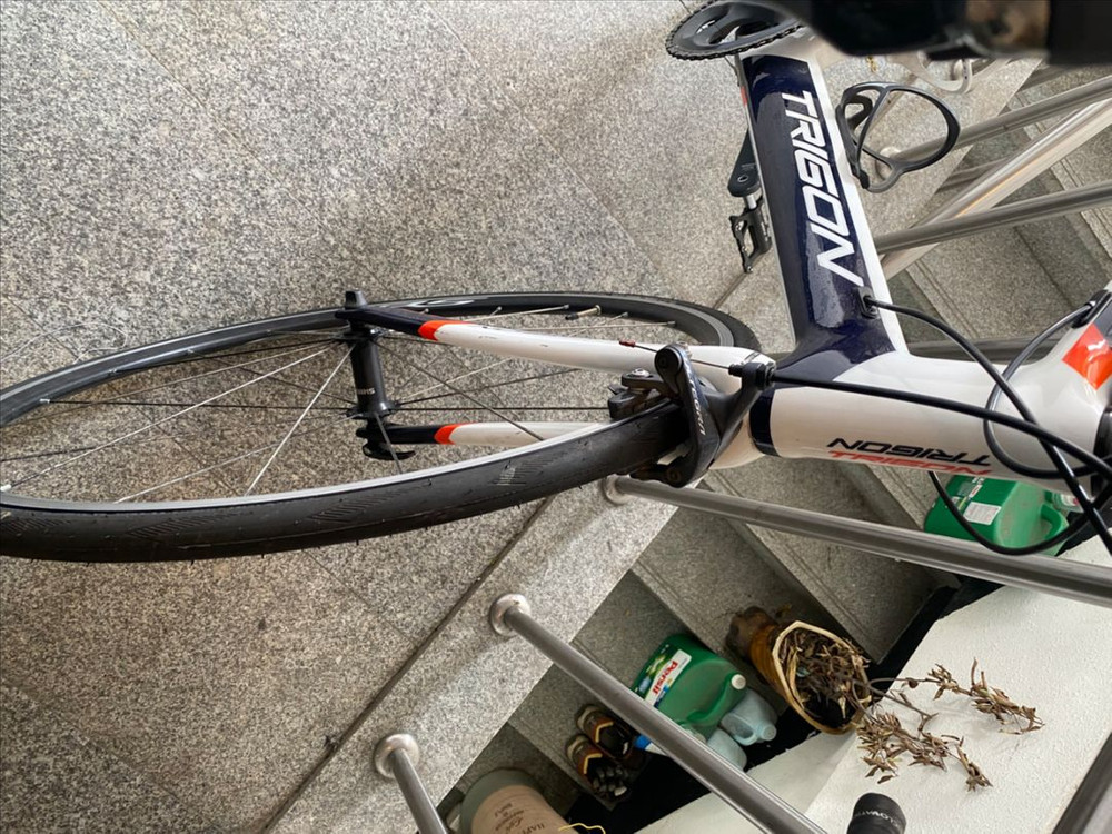 트리곤 다크니스 rs 2017년 58사이즈 울테그라 이미지