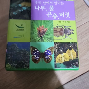 우리 산에서 만나는 나무, 곤충, 풀, 버섯