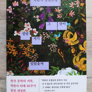 박완서의 <그 산이 정말 거기 있었을까>