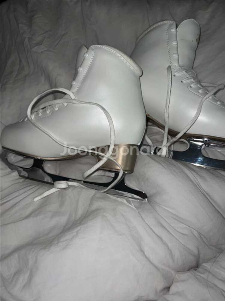 피겨화 에디아코러스 265E 판매합니다--2