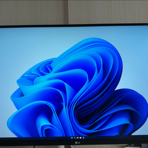LG 32UN650 32인치 4K 모니터