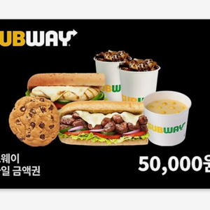 (분할사용가능) 써브웨이 서브웨이 5만 금액권
