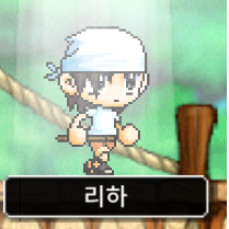 메이플랜드 닉네임 팝니다.
