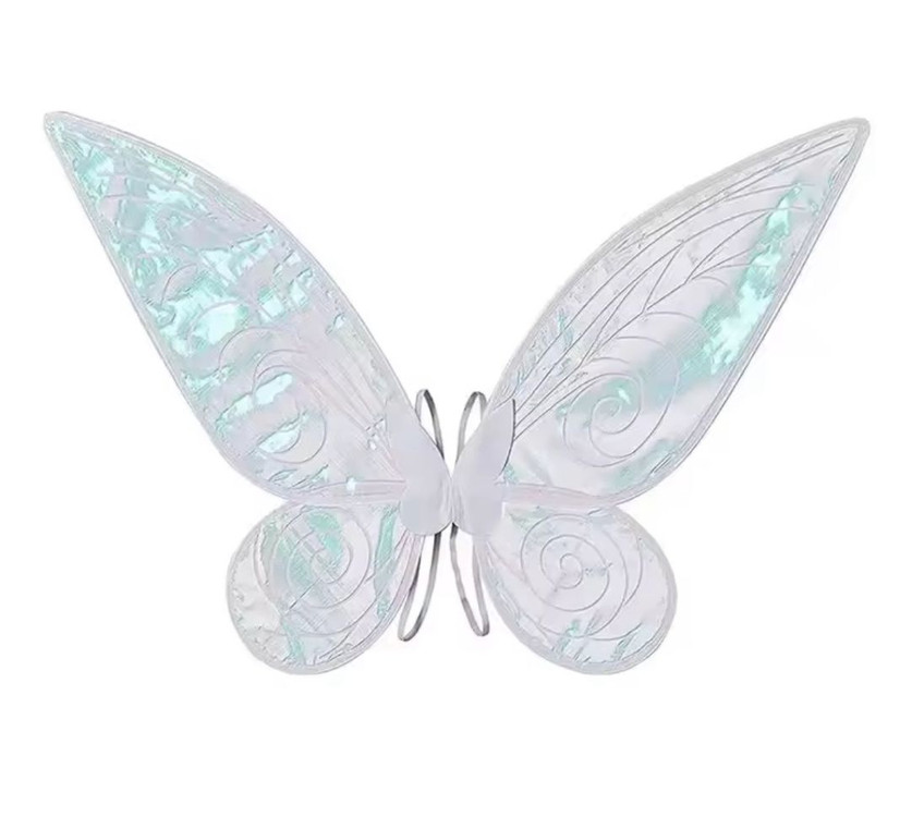 팅커벨 스타일 졸업사진 풀세트 대여 풀세트만원 이미지