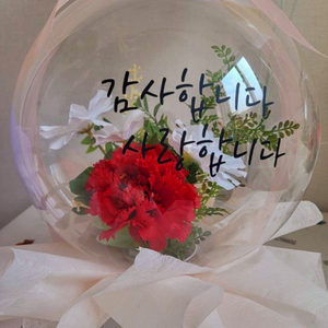 이벤트 카네이션풍선 판매해요(정말 예쁘고 오래가요)개당