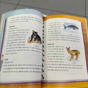 떴다! 지식탐험대 30권 전권