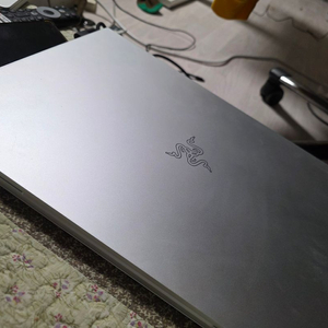 레이저 블레이드 18 14900hx 96gb 4tb