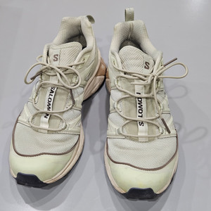 살로몬 XT-6 알팔파 270