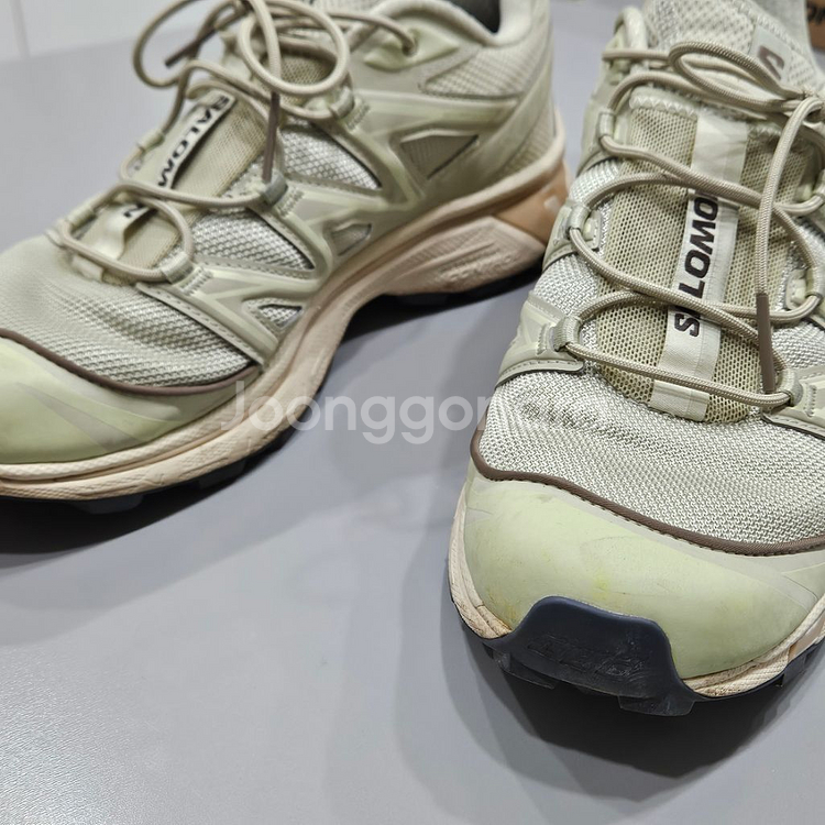 살로몬 XT-6 알팔파 270--5