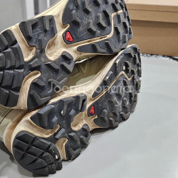 살로몬 XT-6 알팔파 270--6