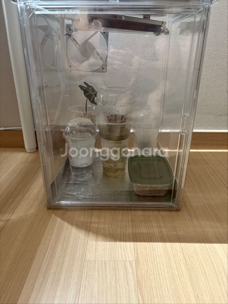 식물 온실--0