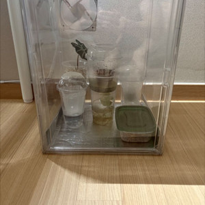 식물 온실