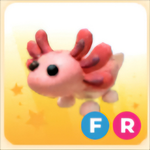 입양하세요 FR 아홀로틀
