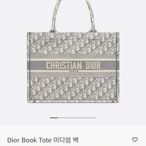디올 오블리크 북 토트 미디엄