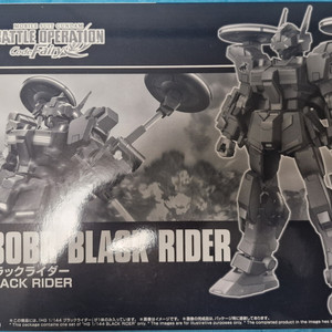 hg 건담 블랙라이더