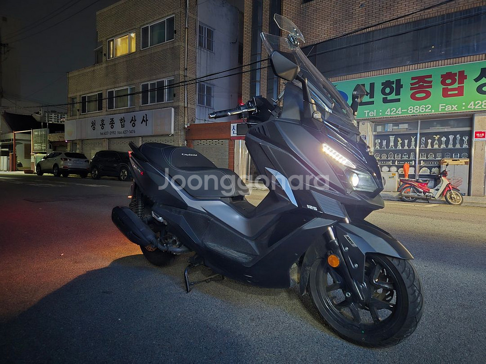 SYM 크루심 알파 125 25년식--5