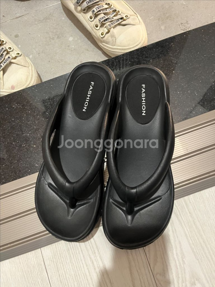 쪼리--2