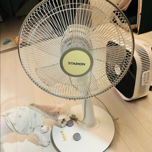 선풍기