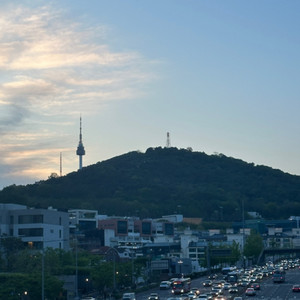 루이비통 캘리포니아 드림 향수 구합니다
