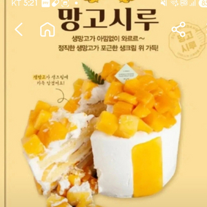 오늘 성심당 망고시루 오픈런 알바