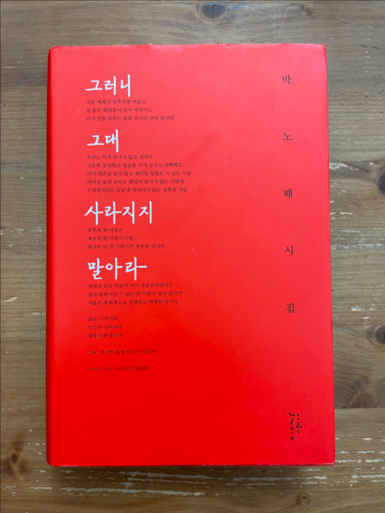 그러니 그대 사라지지 말아라 : 박노해 시집