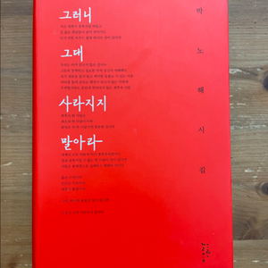 그러니 그대 사라지지 말아라 : 박노해 시집