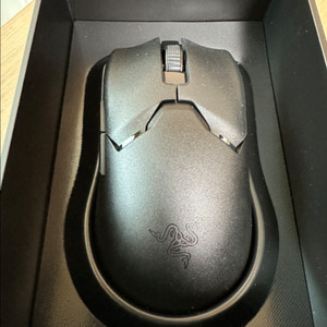 레이저 바이퍼 v2 pro