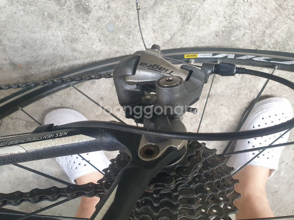 2024년로드사이클ELFAMA+MAVIC+Tiagra--1