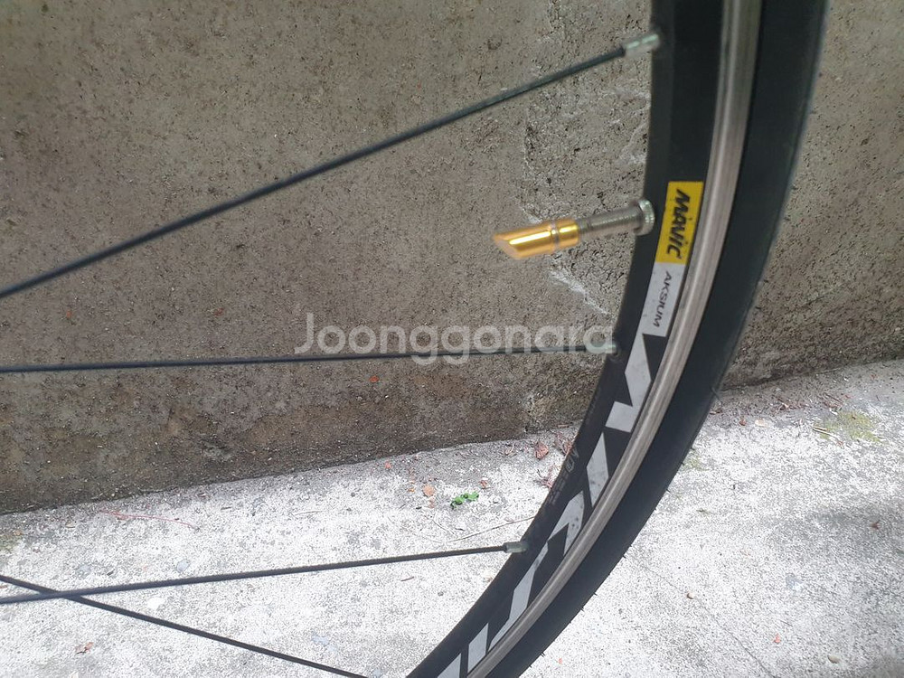 2024년로드사이클ELFAMA+MAVIC+Tiagra--3