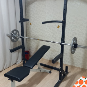홈짐 턱걸이, 딥스, 인클라인벤치, 중량봉, 원판