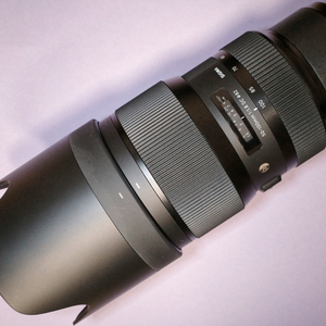 시그마 아트 50-100mm F1.8 DC(니콘마운트)
