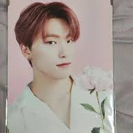 세븐틴 프리미엄 포토 디노 DINO 비닐 미개봉 상태