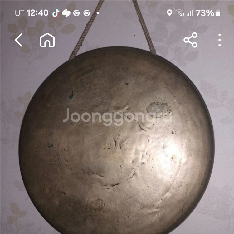 꽹꽈리--0