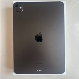 아이패드 프로 11 M4 256GB