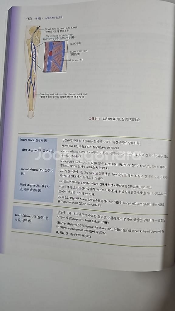 의학용어 (수정판) 새책--3