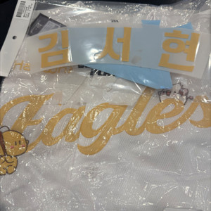 한화이글스 꿈돌이 레플리카 김서현 마킹지