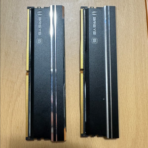 패트리어트 DDR5-5600 32GB (총 64GB)